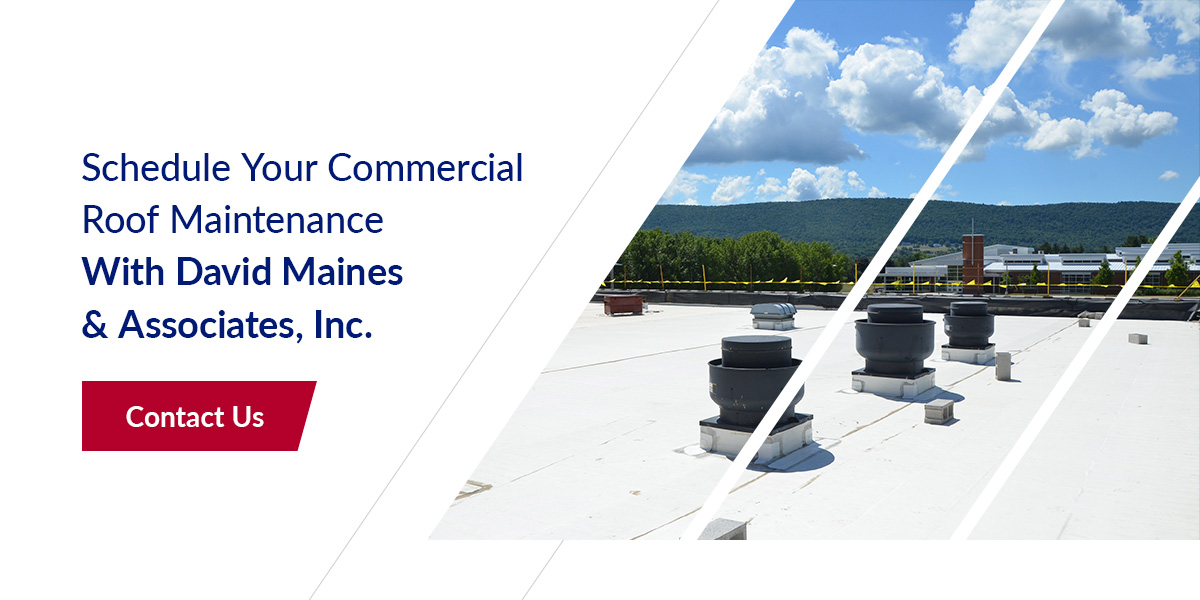 Schedule Your Commercial Roof Maintenance With David Maines