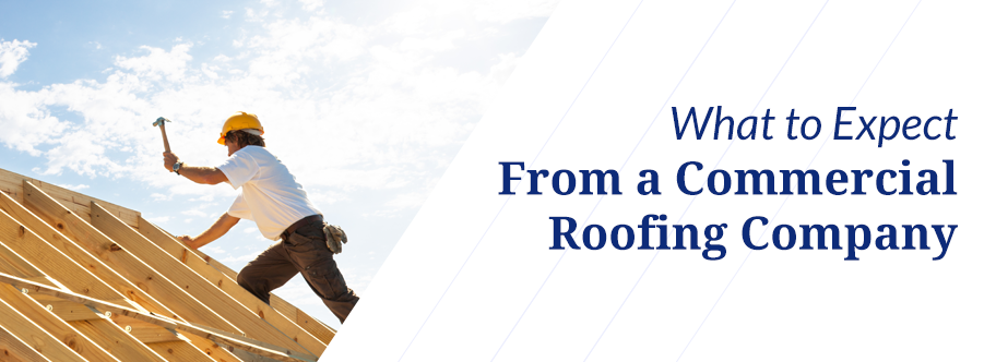 What to Expect From Commercial Roofer