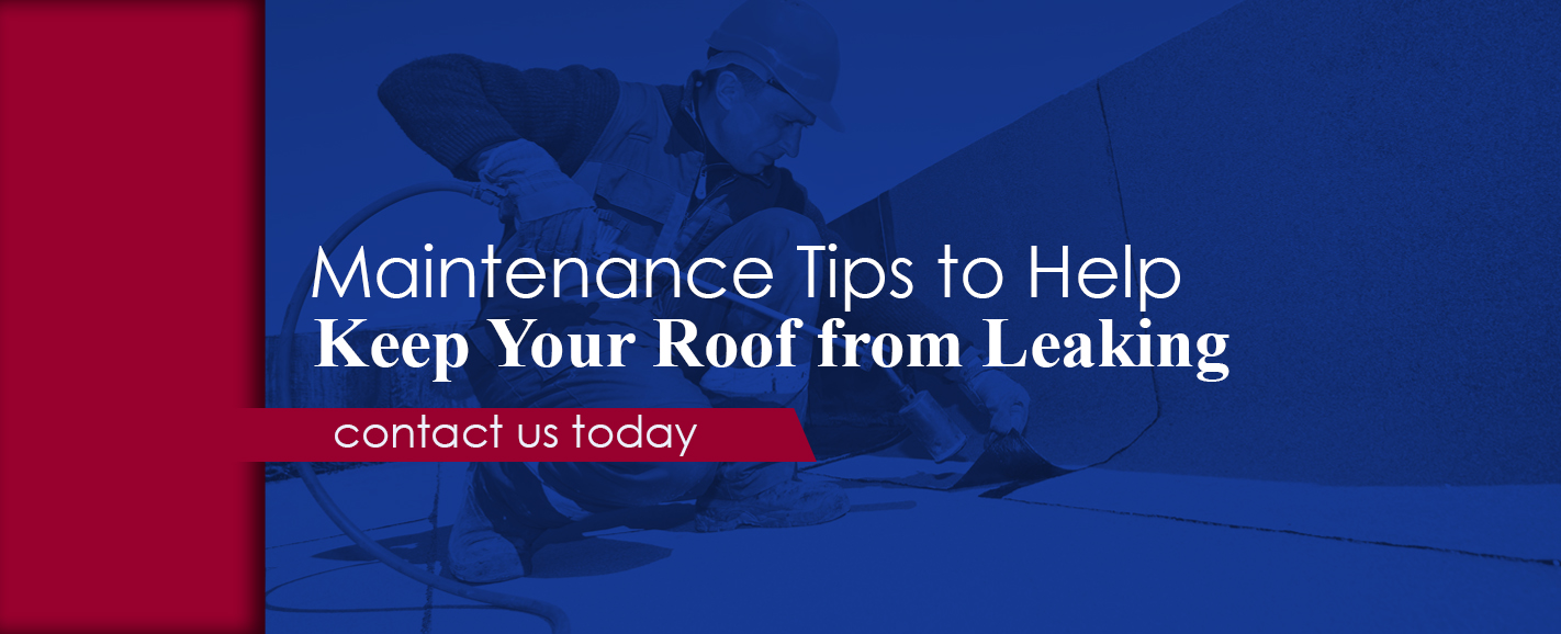 Roof Maintenance Tips