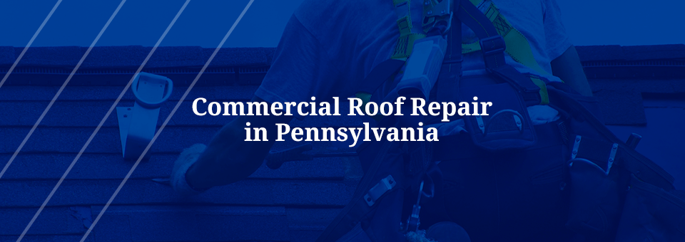 Commercial Roof Repair