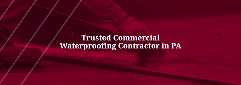 Roof Waterproofing Contractor